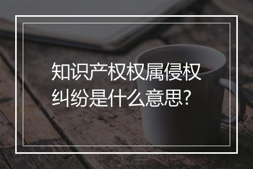 知识产权权属侵权纠纷是什么意思?