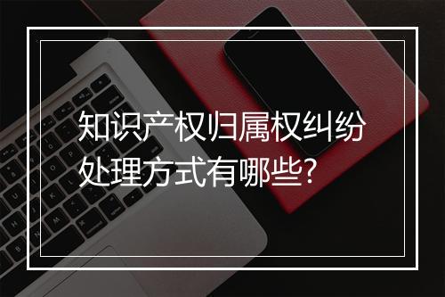 知识产权归属权纠纷处理方式有哪些?
