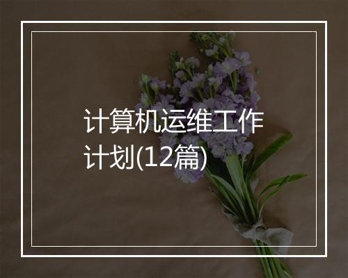 计算机运维工作计划(12篇)
