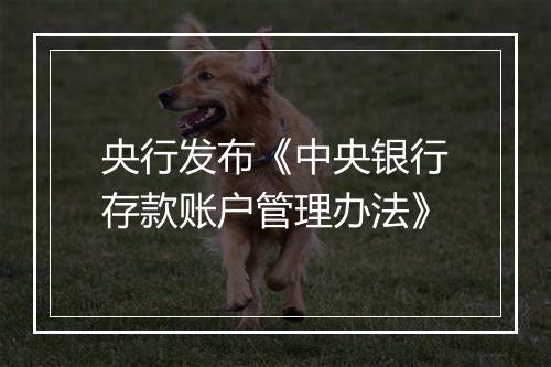 央行发布《中央银行存款账户管理办法》