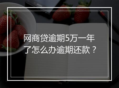 网商贷逾期5万一年了怎么办逾期还款？