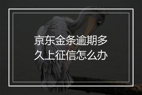 京东金条逾期多久上征信怎么办