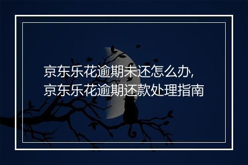 京东乐花逾期未还怎么办,京东乐花逾期还款处理指南