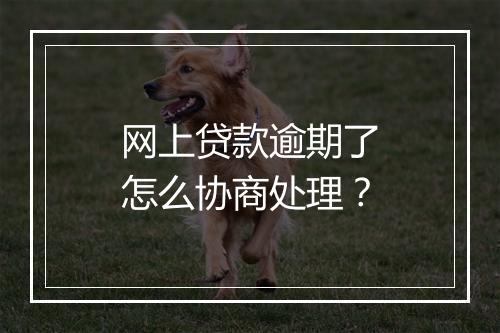 网上贷款逾期了怎么协商处理？
