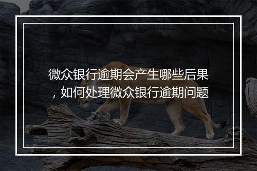 微众银行逾期会产生哪些后果，如何处理微众银行逾期问题