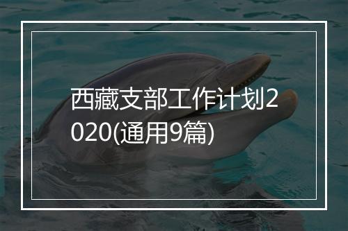 西藏支部工作计划2020(通用9篇)