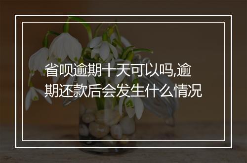 省呗逾期十天可以吗,逾期还款后会发生什么情况