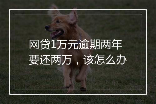 网贷1万元逾期两年要还两万，该怎么办