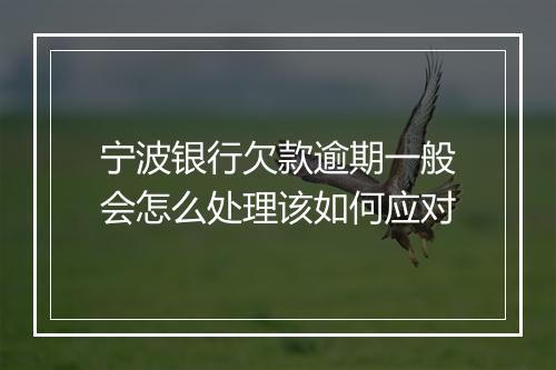 宁波银行欠款逾期一般会怎么处理该如何应对