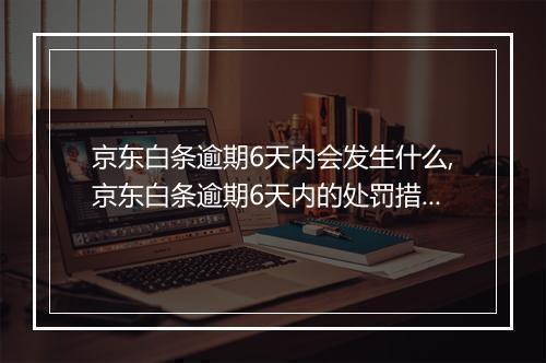 京东白条逾期6天内会发生什么,京东白条逾期6天内的处罚措施
