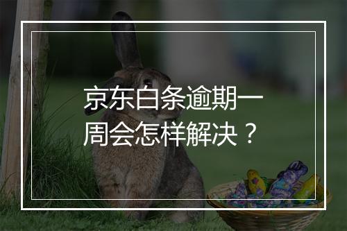 京东白条逾期一周会怎样解决？
