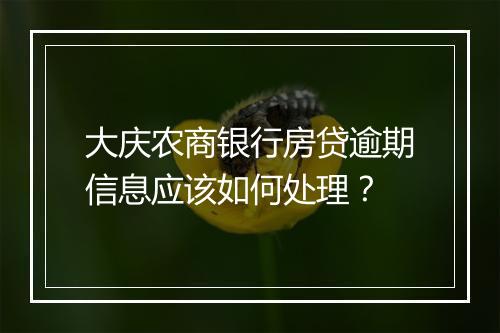 大庆农商银行房贷逾期信息应该如何处理？
