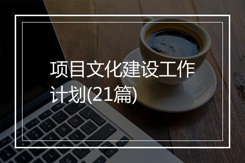 项目文化建设工作计划(21篇)