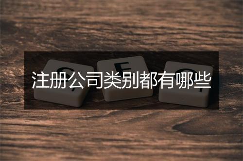 注册公司类别都有哪些