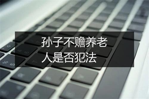 孙子不赡养老人是否犯法