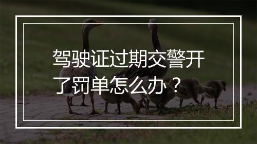 驾驶证过期交警开了罚单怎么办？