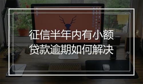 征信半年内有小额贷款逾期如何解决