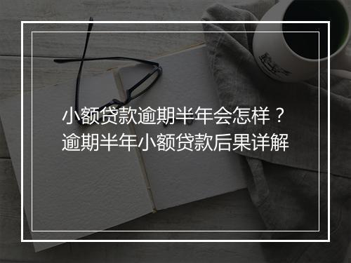 小额贷款逾期半年会怎样？逾期半年小额贷款后果详解