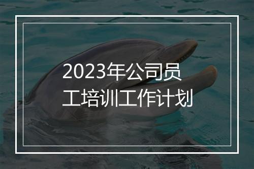 2023年公司员工培训工作计划