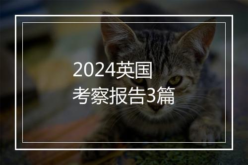 2024英国考察报告3篇
