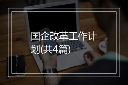 国企改革工作计划(共4篇)