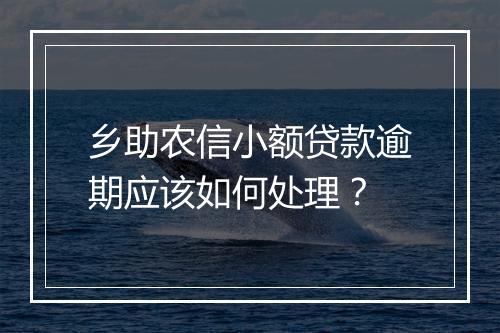 乡助农信小额贷款逾期应该如何处理？