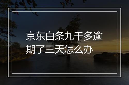 京东白条九千多逾期了三天怎么办