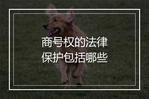 商号权的法律保护包括哪些