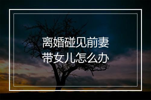 离婚碰见前妻带女儿怎么办