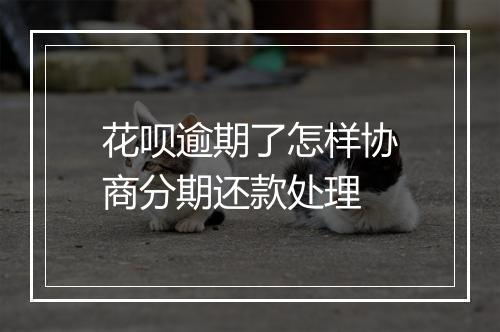 花呗逾期了怎样协商分期还款处理
