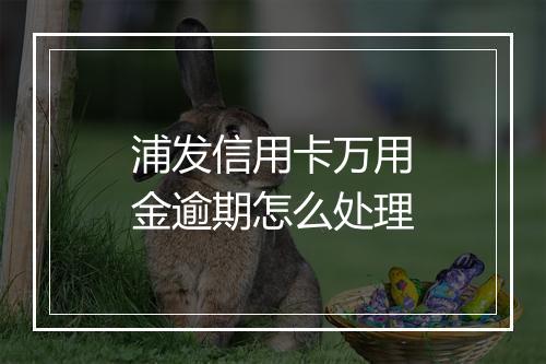 浦发信用卡万用金逾期怎么处理