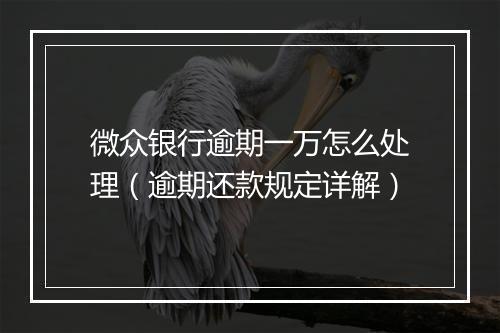 微众银行逾期一万怎么处理（逾期还款规定详解）