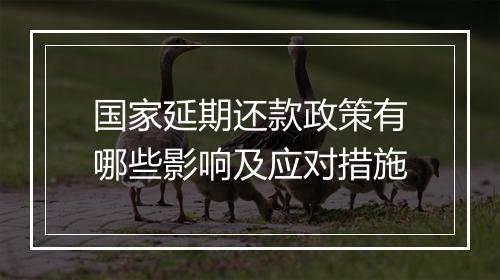 国家延期还款政策有哪些影响及应对措施