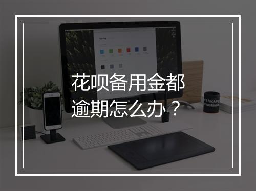 花呗备用金都逾期怎么办？