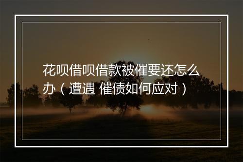 花呗借呗借款被催要还怎么办（遭遇 催债如何应对）