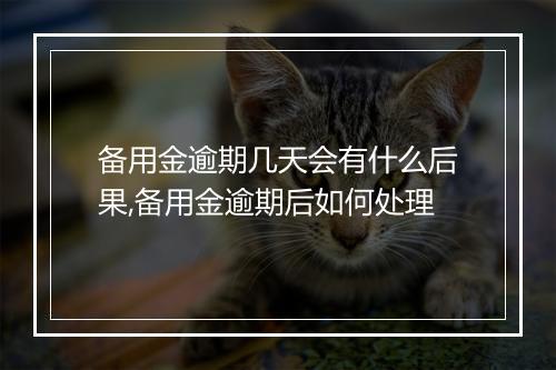 备用金逾期几天会有什么后果,备用金逾期后如何处理