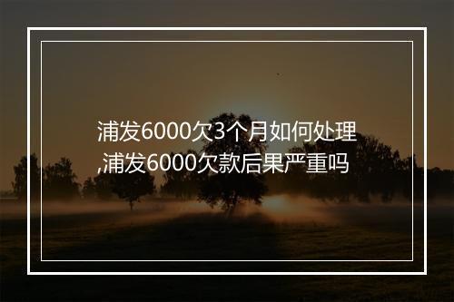 浦发6000欠3个月如何处理,浦发6000欠款后果严重吗