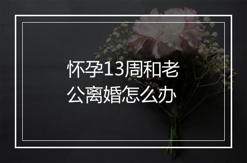 怀孕13周和老公离婚怎么办