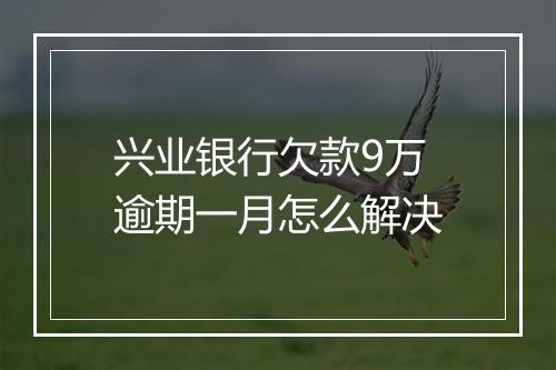 兴业银行欠款9万逾期一月怎么解决