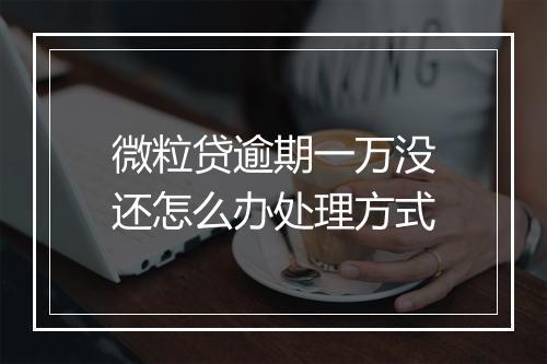 微粒贷逾期一万没还怎么办处理方式