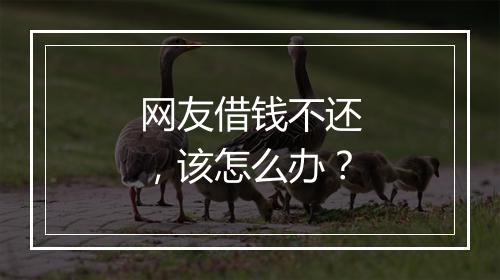 网友借钱不还，该怎么办？