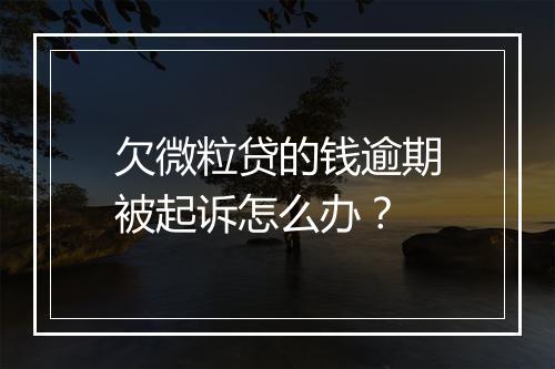 欠微粒贷的钱逾期被起诉怎么办？