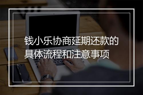 钱小乐协商延期还款的具体流程和注意事项