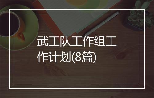 武工队工作组工作计划(8篇)