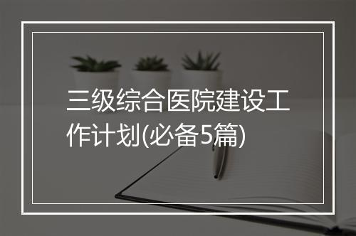 三级综合医院建设工作计划(必备5篇)