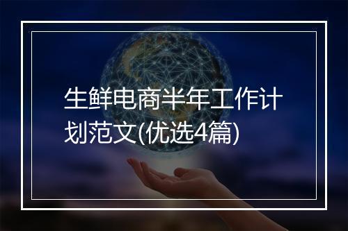 生鲜电商半年工作计划范文(优选4篇)