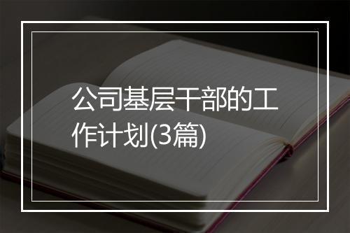 公司基层干部的工作计划(3篇)
