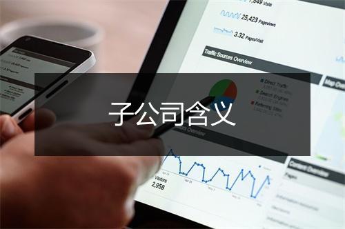 子公司含义
