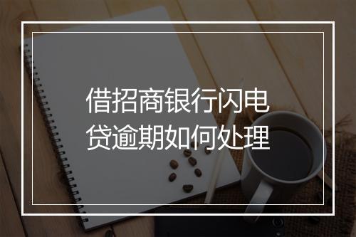 借招商银行闪电贷逾期如何处理