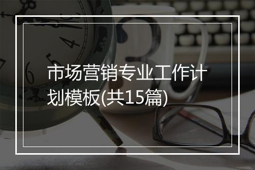 市场营销专业工作计划模板(共15篇)